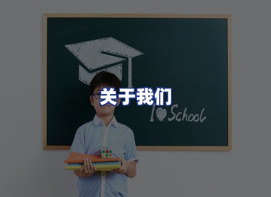 专业团队